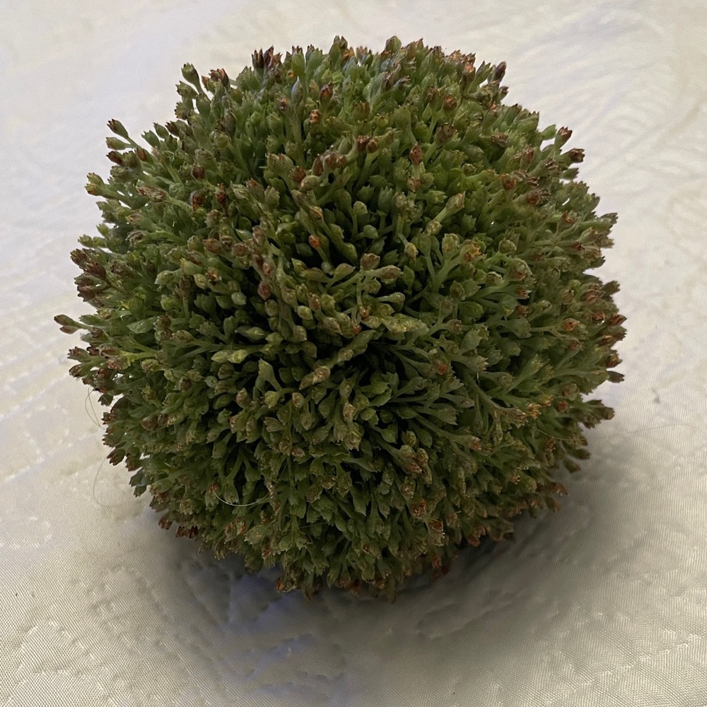 Faux Artificial Greenery Sedum Decorative Ball Orb Sphere Decor